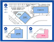 M's���f�B�J���v���U���ʐ}