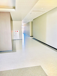 ���P�H�w�O���f�B�J���v���U�@�t���A