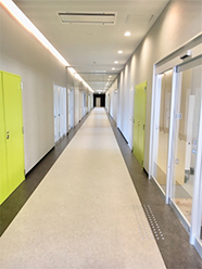 ���P�H�w�O���f�B�J���v���U�@�t���A