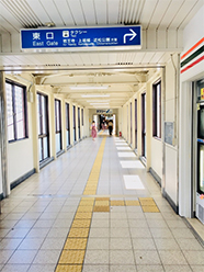 �r�G���ˌ���Ã��[��