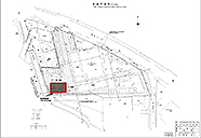 �S�_�C�h���b�O�v���l�X�v�敽�ʐ}