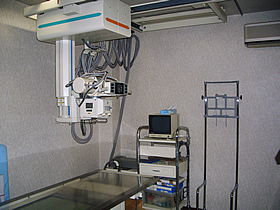 �������`�O�ȁE���E�}�`�ȁ@�w����