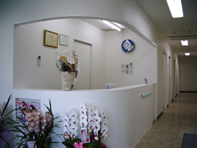 �|�X���f�B�[�X�N���j�b�N��t